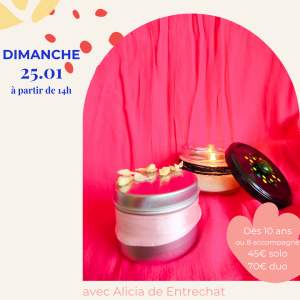 Cire végétale | Projet au choix le 25/01