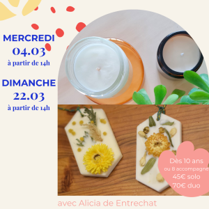 Cire végétale | Projet au choix le 4 et 22/03