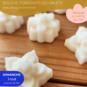 Cire végétale | Projet au choix le 03/05